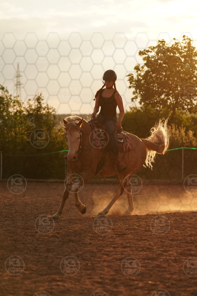 s_A9_03152.jpg